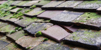 Swanbourne roof repair costs